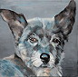 "Hund V“. Acryl auf Leinwand . 40 x 40 cm . 2023